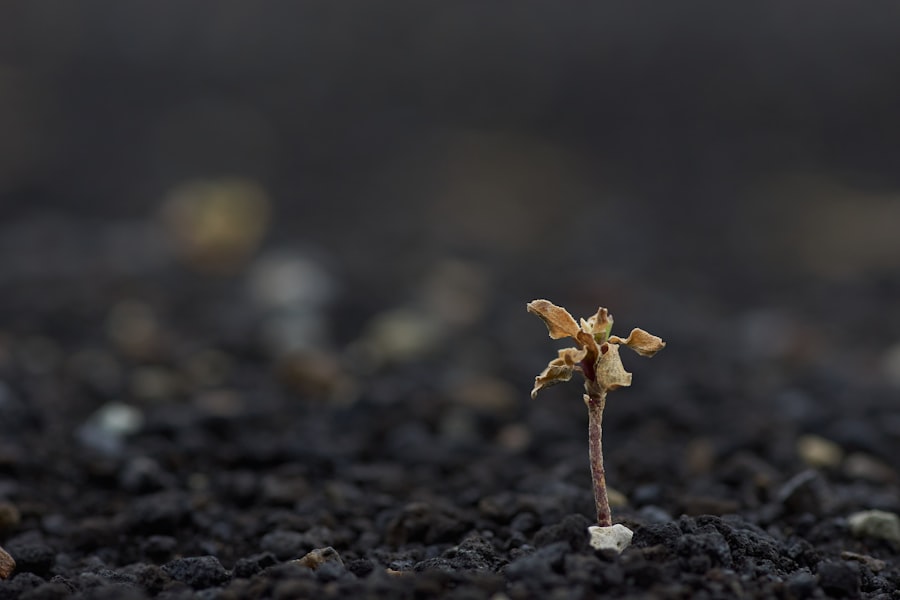 Photo ansoff growth matrix